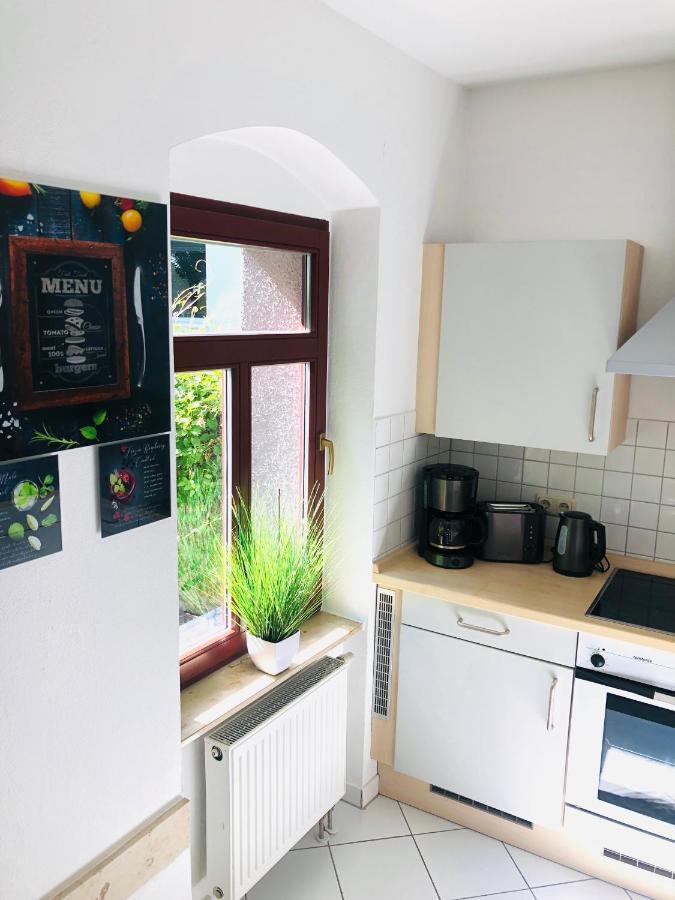 Ferienwohnungen Mit Terrasse In Zwingernaehe - Hilger Rentals Dresde Exterior foto